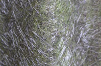 Trefecca fibreglass roof work